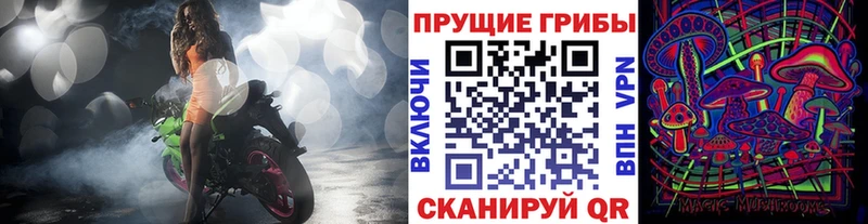 Псилоцибиновые грибы мицелий  Сафоново 